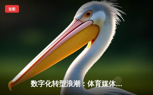 数字化转型浪潮：体育媒体如何重塑全球赛事传播新格局